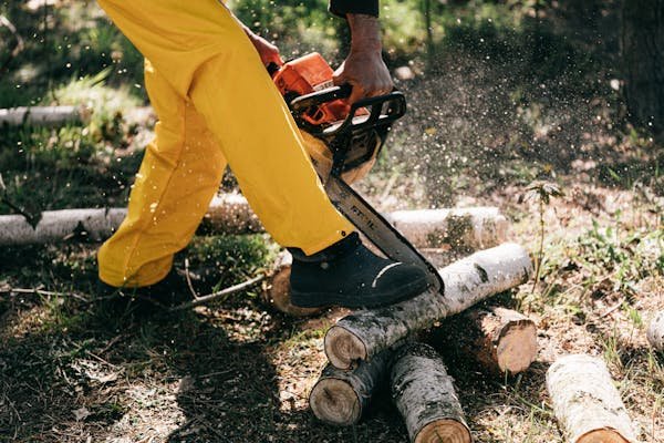 Découvrez les avantages de la scie à bûches uxon pour votre jardin